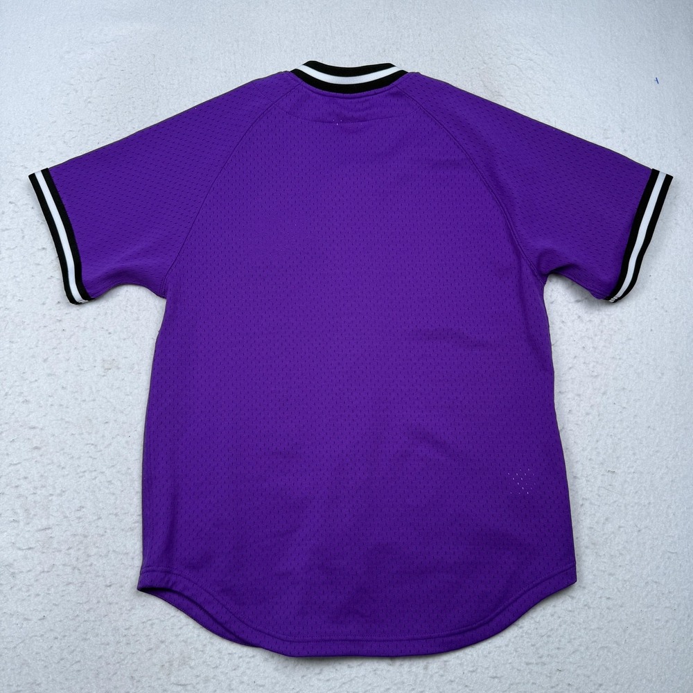 Toronto Raptors Jersey Mens Medium Purple NBA Basketball Mitchell & Ness Mesh - Picture 7 of 8